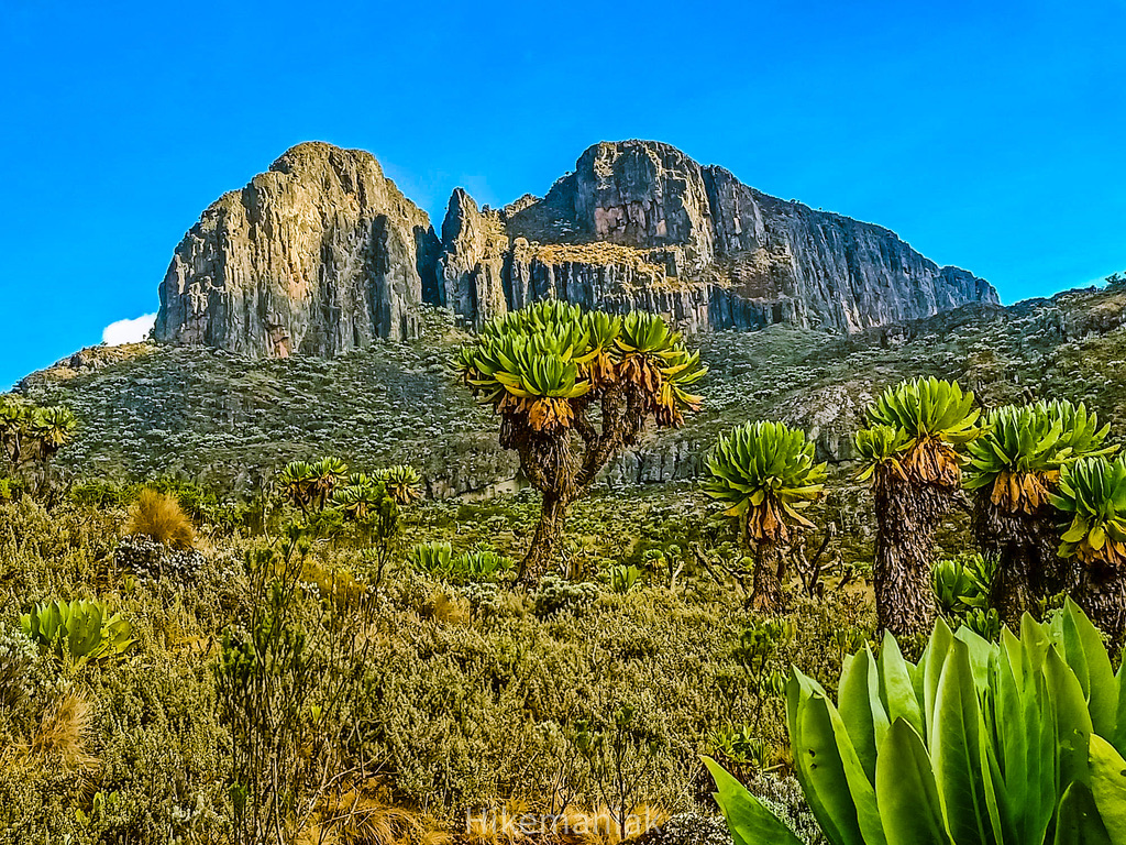 Mount Elgon Koitobos Peak