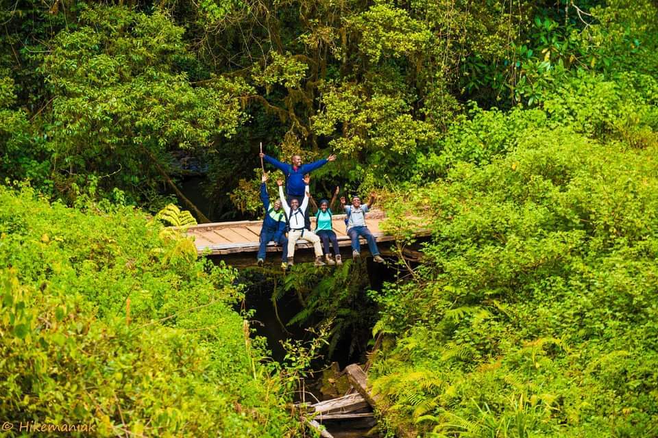 10 Best Forest Hiking Trails in Kenya