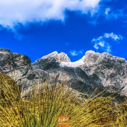 Margherita Glacier_ Rwenzori Mountains