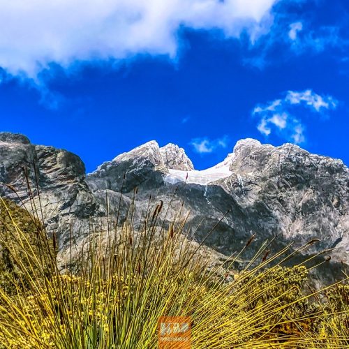 Margherita Glacier_ Rwenzori Mountains