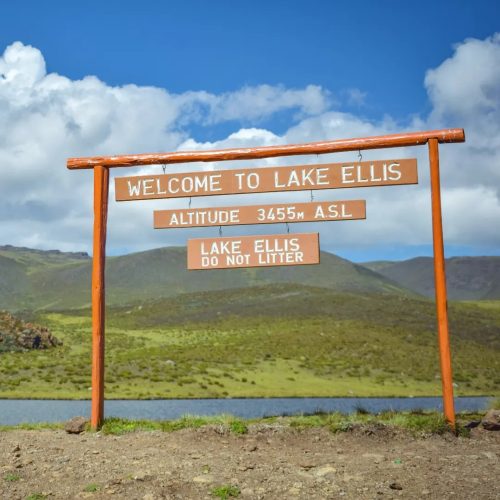 l.Ellis